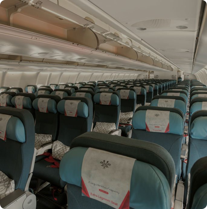 Travel agencies Air Serbia